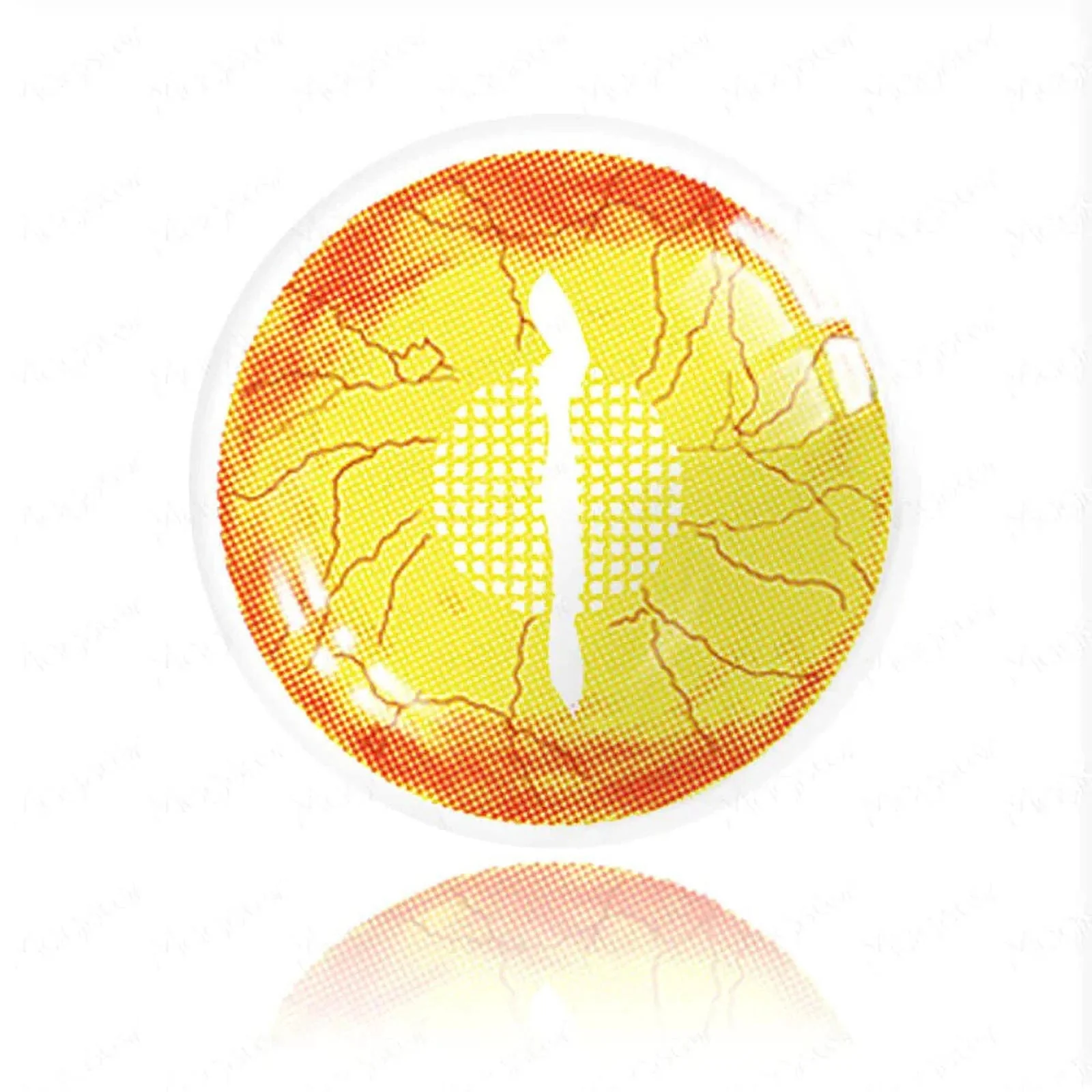 Dragon Yellow - Image 4
