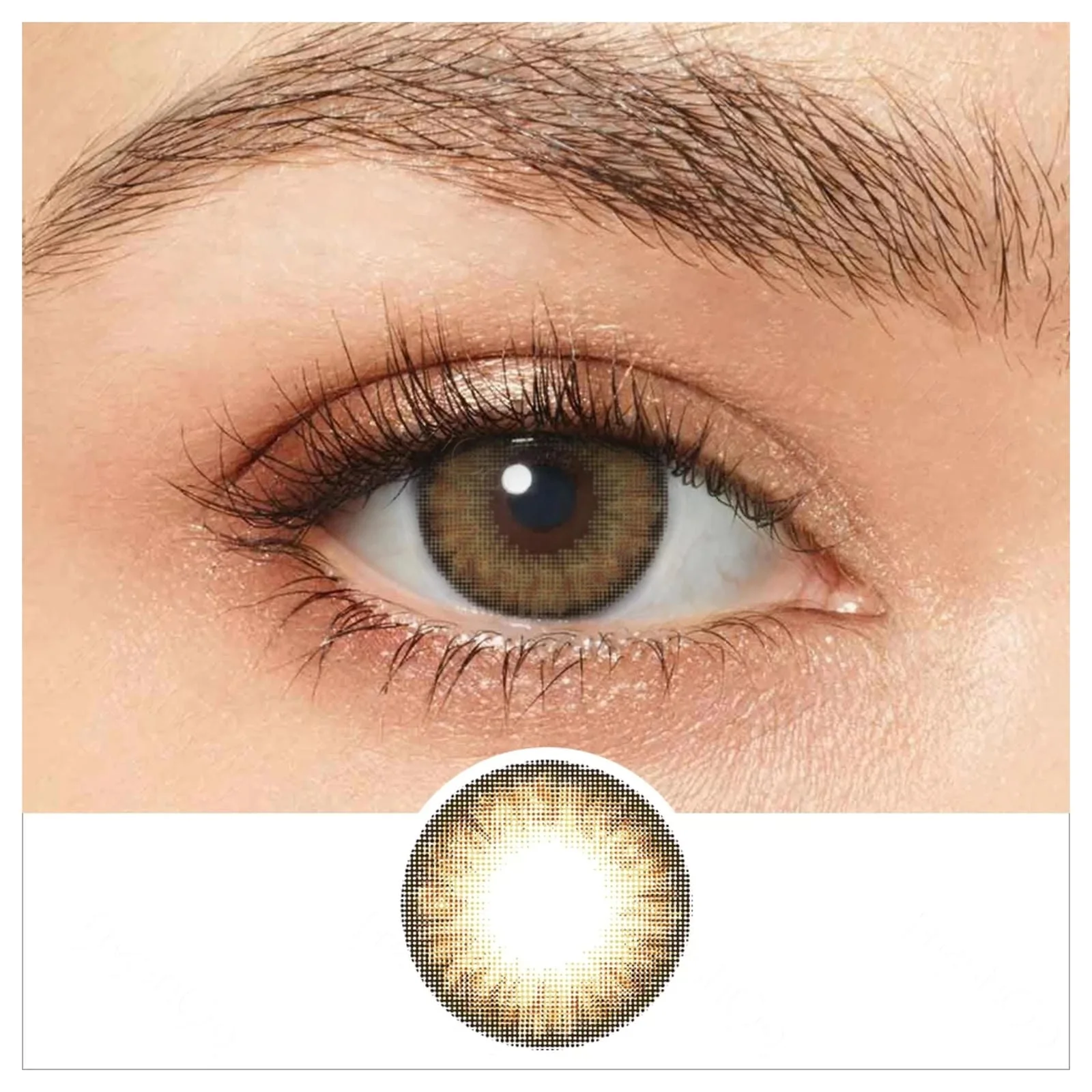 Pro Hazel Freshgo Coloured Contacts