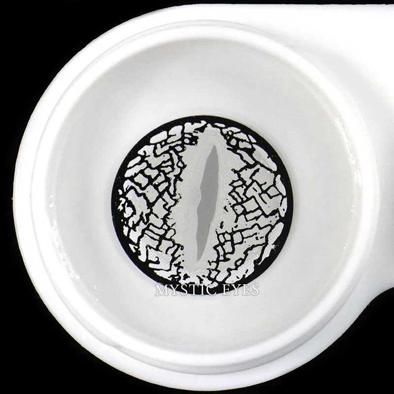 Silver Lizard Eye - Image 4