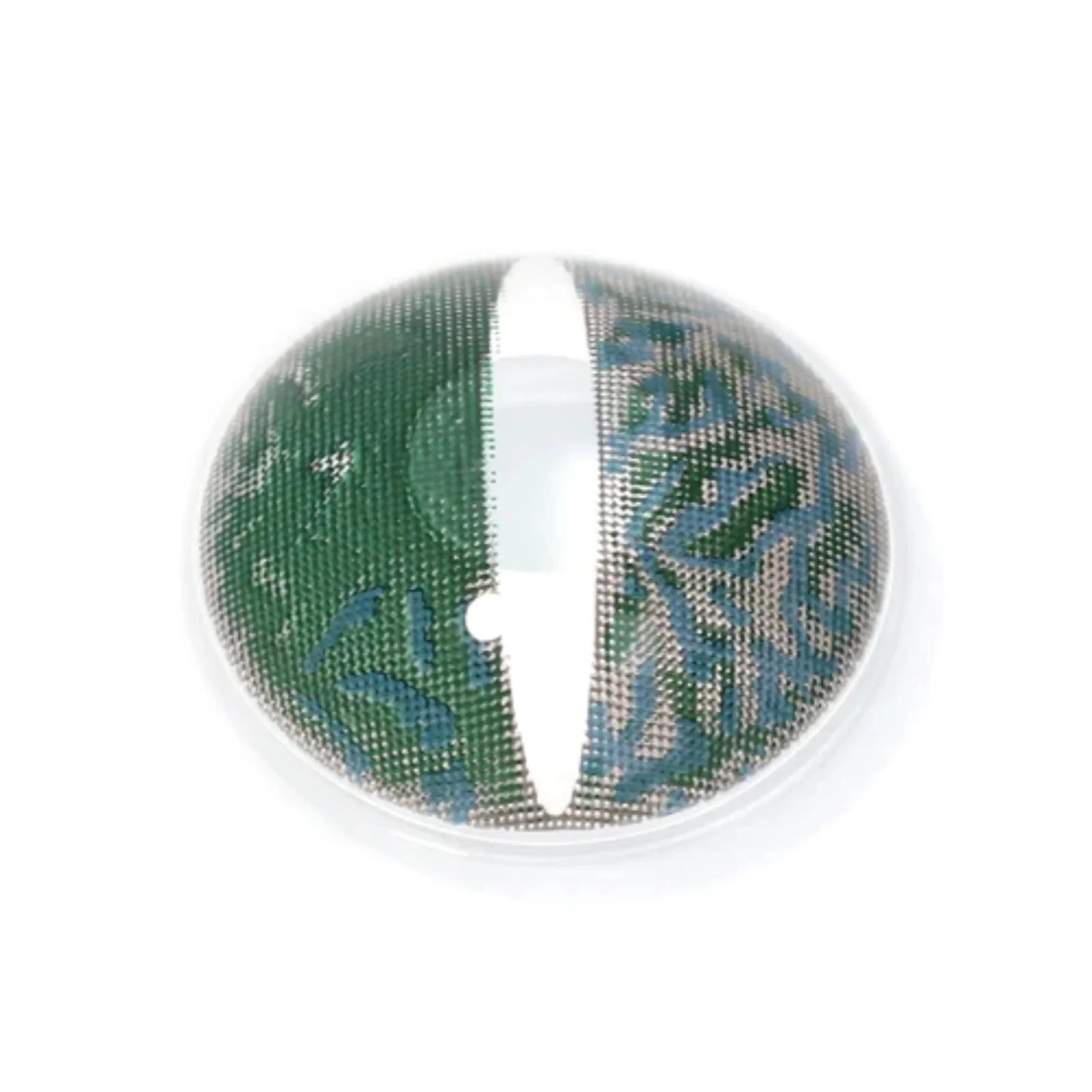 Zombie Green Lizard - Image 3